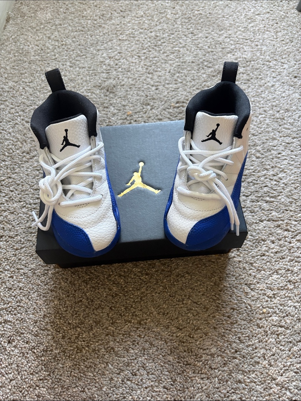 Jordan 12 Retro (TD)